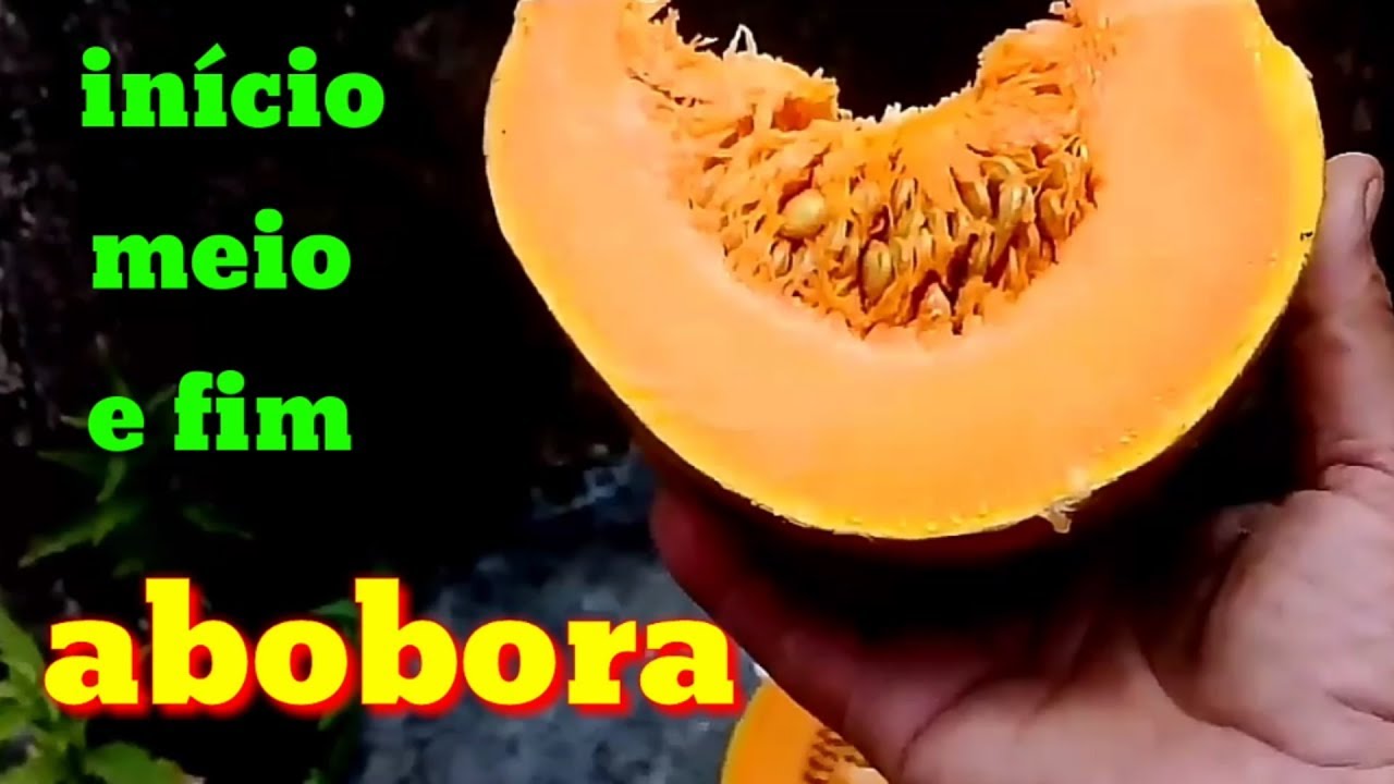 Como plantar abobora completo