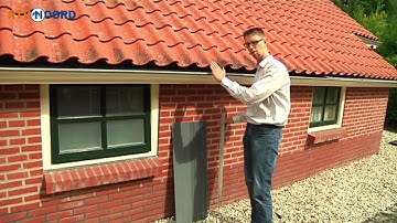 Pekelder broers verjagen steenmarters - RTV Noord