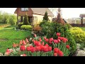 🌺Великолепные примеры красивого сада / Best Garden Ideas / A - Video