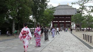 奈良 Nara, Japan