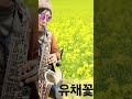 봄이오는 제주/뷰티플 제주 수산나색소폰