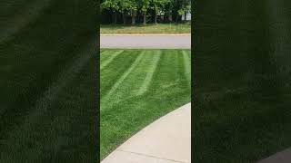 lawn care 2026