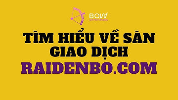 Tìm hiểu về Raidenbo, Raidenbo có Lừa Đảo ?