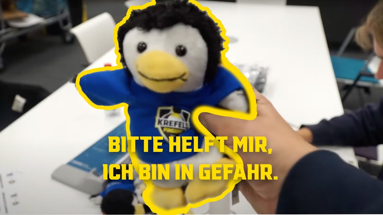 Die armen Pinguine - Vlog 05
