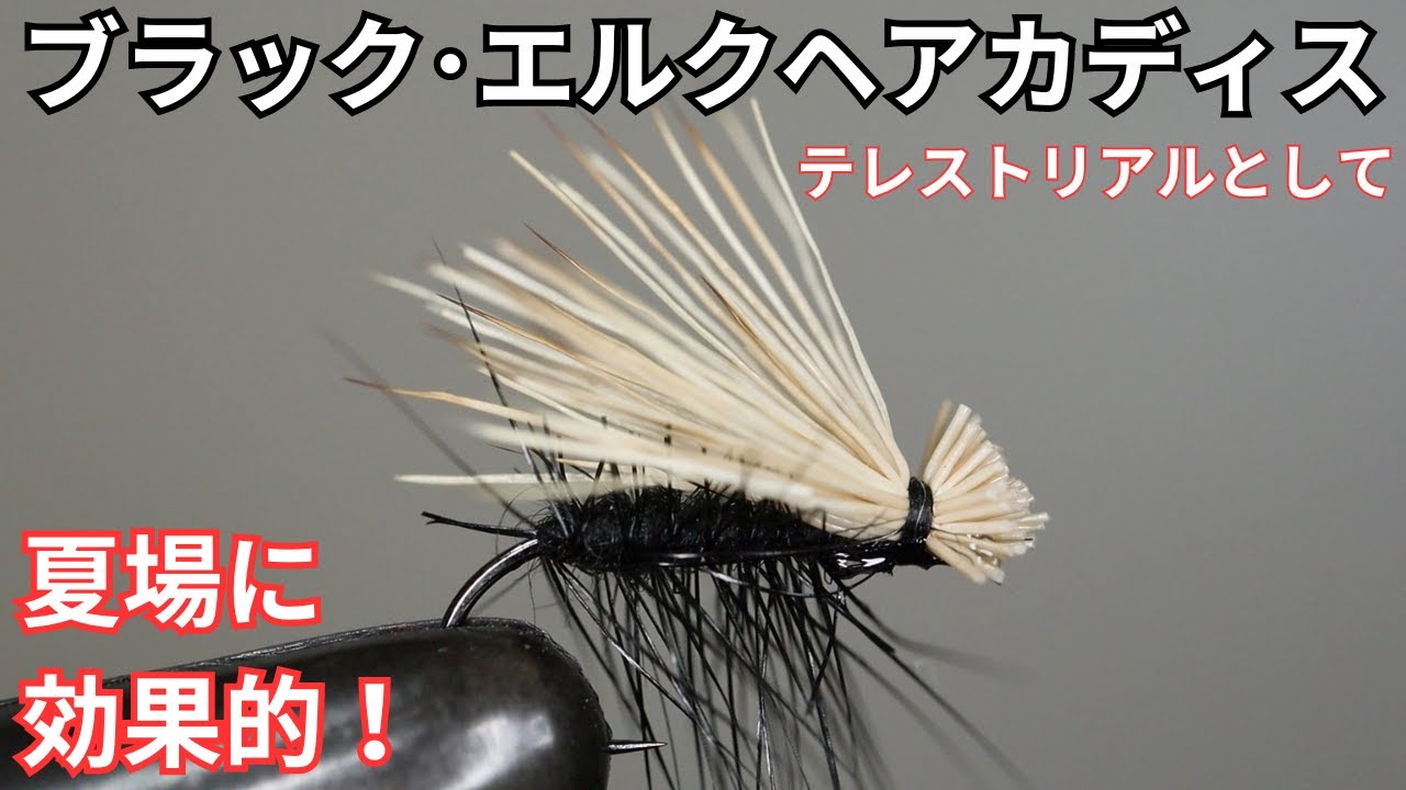 【フライタイイング】ブラック･エルクヘアカディスを巻いてみた！夏場に効果的なテレストリアルパターンとして大活躍！