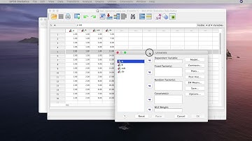 Mixed ANOVA with SPSS