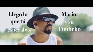 Mario y su Timbeko - Llego lo que tu esperabas {  } #timbeko Resimi