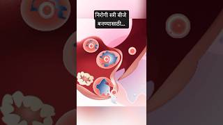 निरोगी अंडी बनण्यासाठी काय करावे? How To become a pregnant fast?