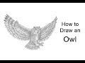 How to Draw a Great Horned Owl Flying