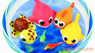 The best 10+ toys time delight baby shark pinkfong