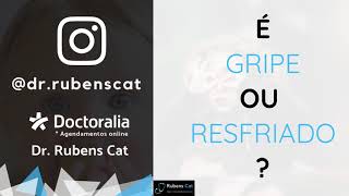 Rubens Cat-23