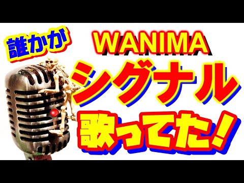 誰かが歌ってた！#14【シグナル/WANIMA】　楽しかったらいいじゃん