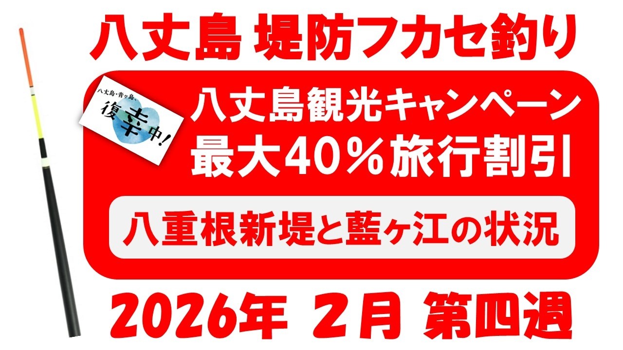 八丈島観光復興キャンペーン、八重根新堤と藍ヶ江の状況