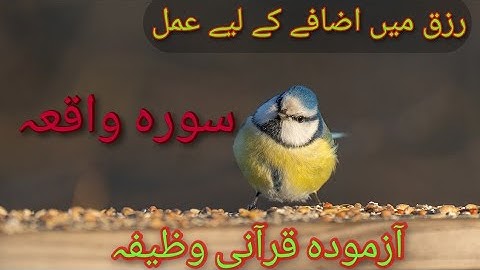 Surah Al-Waqiah Full ||سورة الواقعة||Omar Hisham Al Arabi(HD)With Arabic Text |waqia @TowardsAllah90