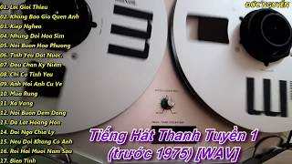 Thanh Tuyền 1