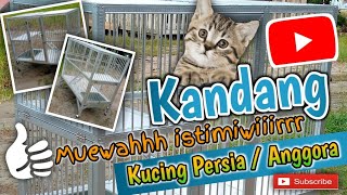 Kandang Kucing Istimiwiiirrr Kreasi Hollow Baja Ringan