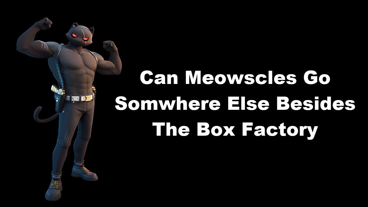 Can Meowscles Go Somewhere Else Besides The Box Factory