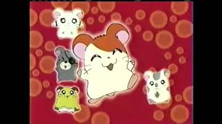 Hamtaro (Cartoon Network Promo) 2003 (HD)