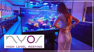 Saltwater aquarium SUPER STORE  We visit White Corals & Nyos !