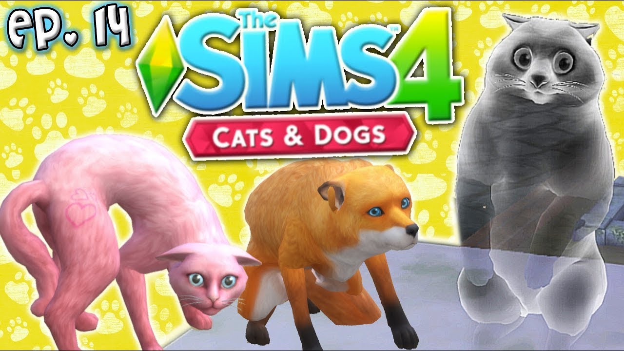 the sims 4 pets download free Ghost Trash Panda - The Sims 4: Raising YouTubers PETS - Ep 14