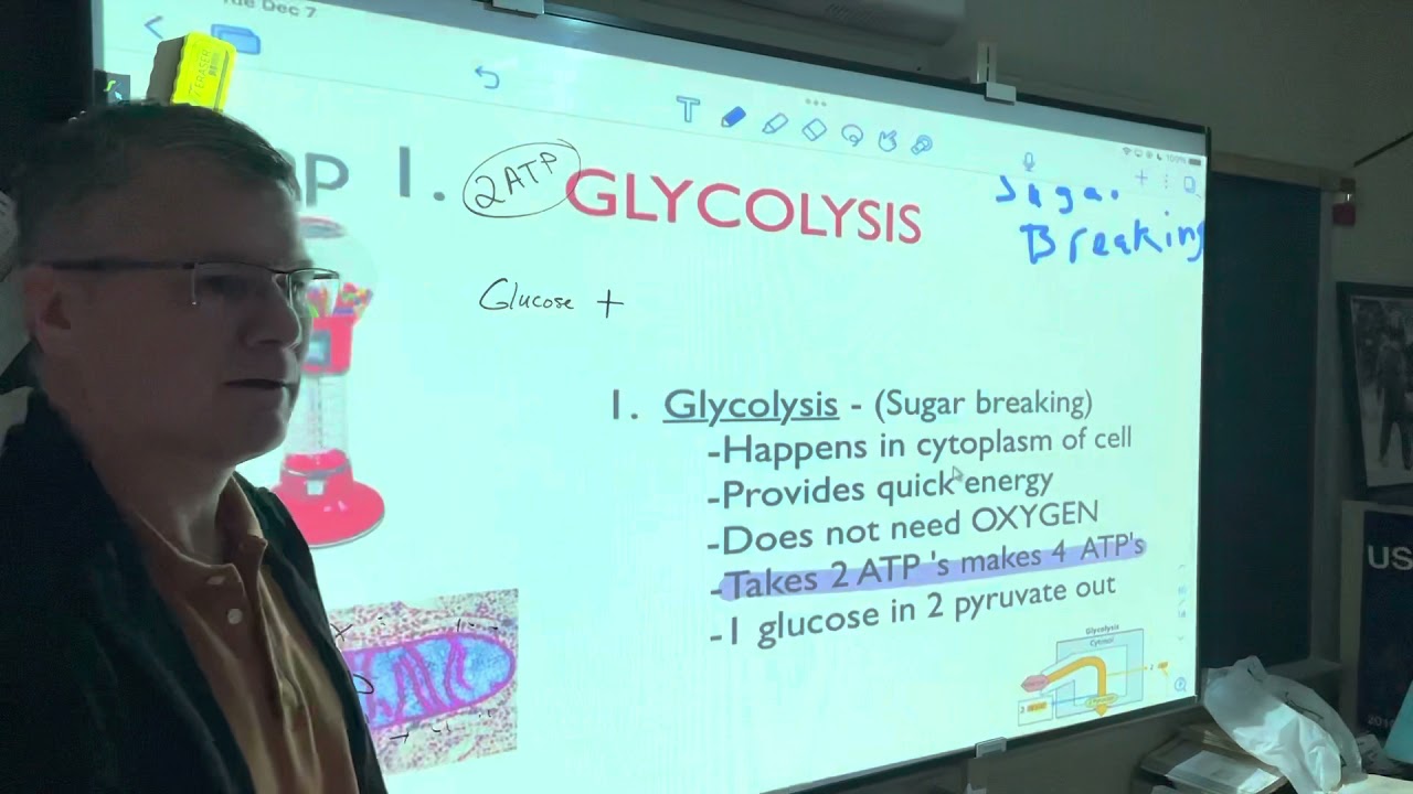 Cell Energy #5 Glycolysis