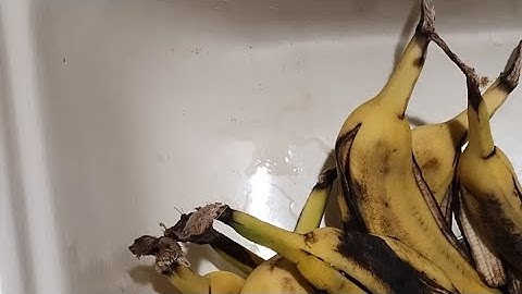 Garbage disposal vs banana peels