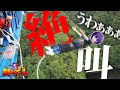 30万人記念 令和NO 1の新人歌い手グループが 日本最大級のバンジージャンプ に挑戦した結果 めておら STPR新人歌い手グループ 30万人記念 令和NO 1の新人歌い手グループが 日本最大級のバンジージャンプ に挑戦した結果 めておら STPR新人歌い手グループ