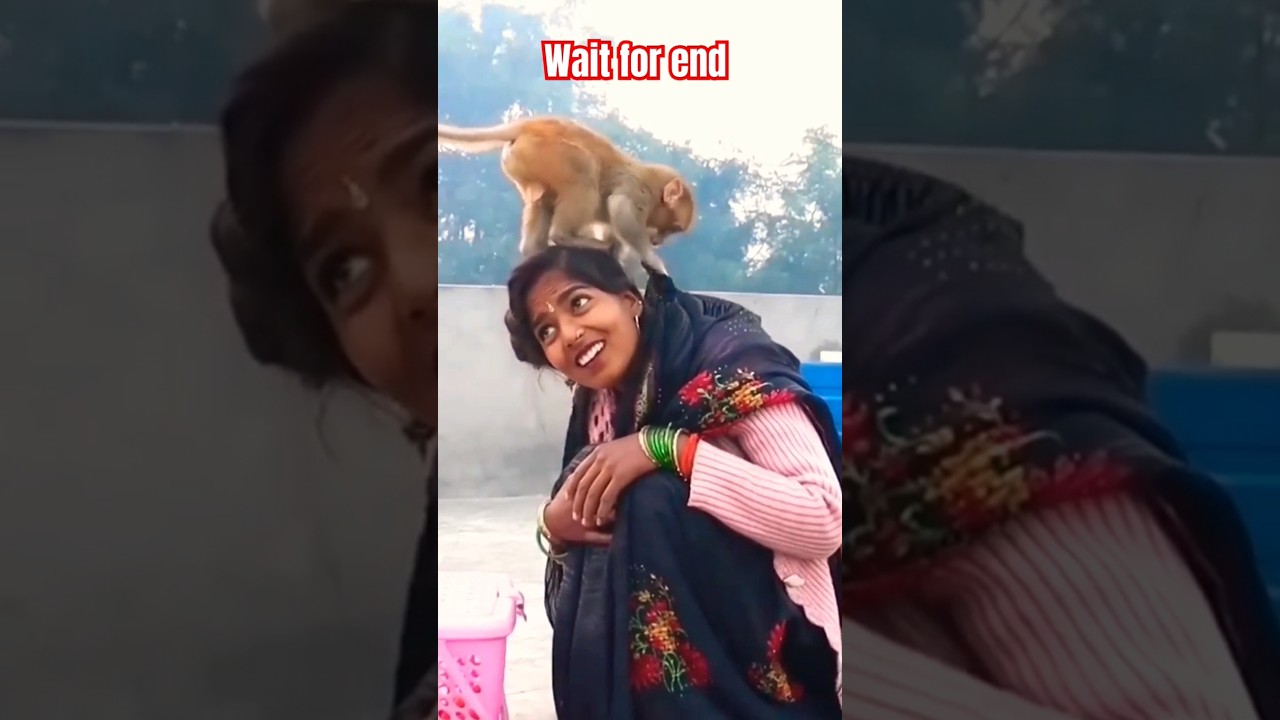 Chiknu sweet old memories 🤣 