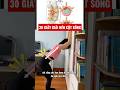30s Giải Nén Cột Sống #youtubeshorts #shortvideo #backpain #daulung #yogaforbeginners #yogatrilieu