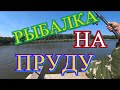 НА ТАКОЙ РЫБАЛКЕ Я ЕЩЁ НЕ БЫЛ!