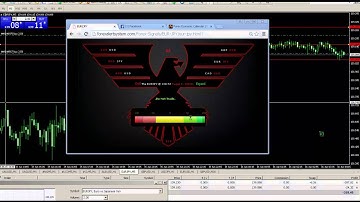 HOW TO SCALP FOREX GUIDE  PART 2 ADVANCED TRADING TACTICS | PRICE ACTION | HEDGING