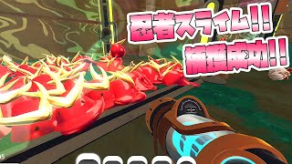 幻の忍者スライムをついに捕獲成功!! スライム牧場で大量に飼ってみたら大金持ちになってしまった!!