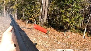 11/26/2025 SC Deer Dog Drives Big Billy gets Big Buck Down. 
