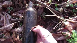 Antique Bottle Hunting ~ Early 1900's