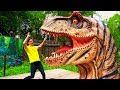 Сеня играет в Парке Динозавров! Сборник историй для Детей!