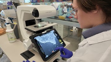 Engineering stem cell therapies for diseases | Michael Garton Lab