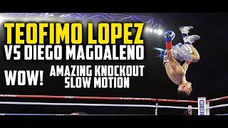 WOW! Teofimo Lopez VS Diego Magdaleno Knockout [Slow Motion]