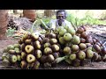 SUMMER DRINK !!! 1500 Palm Fruit Sarbath prepared by my Daddy ARUMUGAM / Village food factory