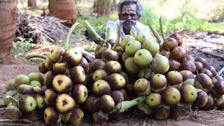 SUMMER DRINK !!! 1500 Palm Fruit Sarbath prepared by my Daddy ARUMUGAM / Village food factory