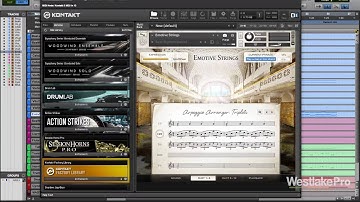 Emotive Strings Demo Komplete 11 by Native Instruments | Westlake Pro