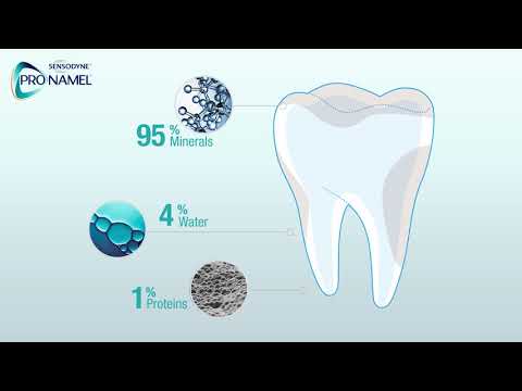 What Is Tooth Enamel? | Pronamel® Toothpaste