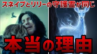 【天才的伏線】ハリー・ポッターと死の秘宝Part2に隠された伏線＆小ネタ