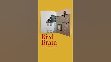 Bird Brain - A Birdadaistic Manifesto