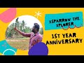 How much i earned in a year one year of xsparrow the xplorer