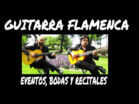 Dúo Sonanta. Guitarra española (clásica, flamenca, etc)
