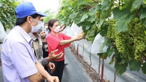 Công tác Khuyến nông năm 2021