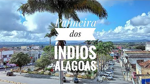 Porque Palmeira dos Índios?