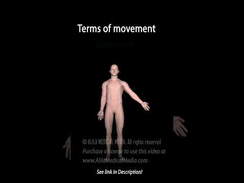 Anatomical Terms #anatomy