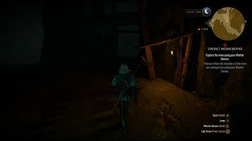 The Witcher 3 , missing brother contract