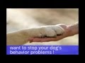 secrets to dog training review secrets to dog training review